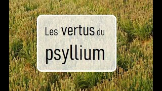 Les vertus du psyllium [upl. by Kindig]