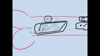 MSS Biochemistry lecture 1 [upl. by Adin317]