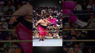 Main Events de WrestleMania del Peor al Mejor Puesto 45 WrestleMania IX Yokozuna vs Bret Hart [upl. by Llenaej]