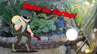 RollerVlog DIEBE im Garten [upl. by Ecertal734]