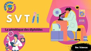 SVT BAC I Révision dihybridisme  Correction série dexercice n°2 [upl. by Reivax191]