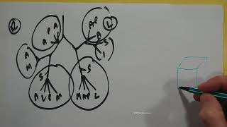 FRCA Revision  Bronchial Tree Anatomy  EXPLANATION [upl. by Keiko62]