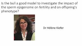 Hélène Kiefer quotImpact of bulls sperm epigenome on fertility and offsprings phenotypequot [upl. by Namwob292]