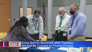 Highly Contested Race For Broward Supervisor Of Elections Heading To Recount [upl. by Aenaj520]