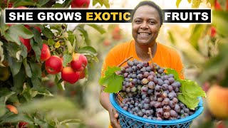 How Shes Making Millions From Farming Exotic Fruits [upl. by Naniac]