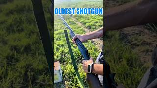 12 Gauge Shotgun youtubeshort shotgun 30bore duckhunting 12gauge 12gaugeshotgun [upl. by Nojel]