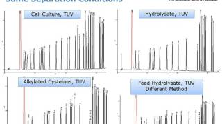 Quantitative Amino Acid Analysis of Biopharmaceuticals [upl. by Caputo151]