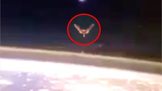 NASA Shuts Down The Live Feed After Something Massive Shows Up At The International Space Station [upl. by Jonna]