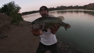 Fishing At Almaden Lake 19 [upl. by Ettennaj]