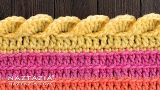 HOW to CROCHET a WAVY SHELL STITCH Border Edging for a Blanket Shawl or Scarf [upl. by Willock]