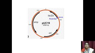 Plasmid Vectors  VHNSNCollege Autonomous [upl. by Geraldina212]