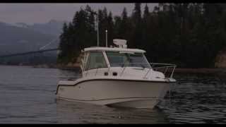 Boston Whaler 315 Conquest Pilothouse  Exploring the Pacific Northwest [upl. by Sherl]