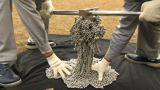 Neodymium magnets research [upl. by Farmann]