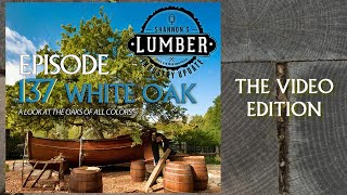 137 White Oak  Lumber Industry Update [upl. by Adar]