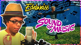 quotTHE SOUND OF MUSICquot  EDELWEISS  TAY ZONDAY [upl. by Eilyk]