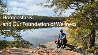 Homeostasis and Our Foundation of Wellness [upl. by Leunad]