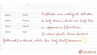 Analogous structure of phylloclade is called [upl. by Cale458]