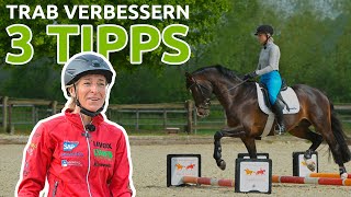 Top 3 Tipps für eine bessere Trabarbeit von Ingrid Klimke  wehorse [upl. by Analaj274]