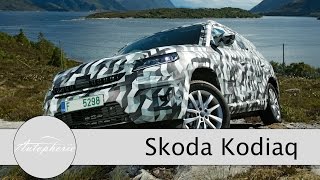 2017 Skoda KODIAQ  Prototype Driving Footage [upl. by Esma]