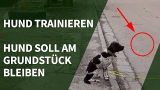 Hund trainieren ► Hund soll am Grundstück bleiben  ohne Zaun [upl. by Greenwell387]