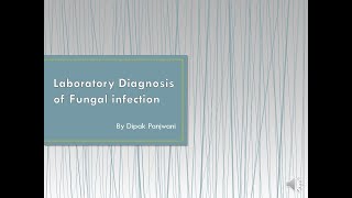 Laboratory diagnosis of fungal infection  DMP [upl. by Yuh]