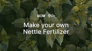 How to Make your own free Organic Nettle Fertilizer [upl. by Aicac]