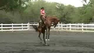 Bucking Horse with Female Rider [upl. by Saffier538]