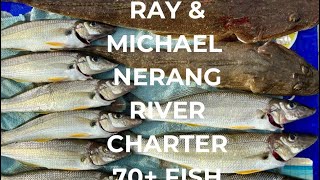 Nerang river whiting charter with Ray amp Michael 70 fish nice feed of whiting and flathead [upl. by Avril]