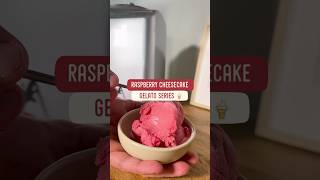 Raspberry Cheesecake  Magimix Gelato Expert and Food Processor Juice Extractor [upl. by Alyek]