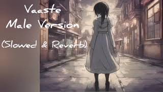 Vaaste male version slowed and reverb [upl. by Otilesoj]