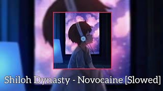 Shiloh Dynasty  Novocaine Slowed [upl. by Alverson]