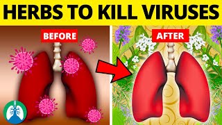 Top 10 Herbs for Lung Health Clearing Mucus COPD and Killing Viruses [upl. by Clyte]