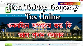 How To Pay Property Tax Online [upl. by Elleval]