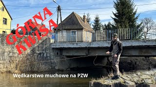 139 Kwisa PZW wędkarstwo muchowe zimą [upl. by Plato23]