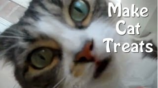 How To Make Cat Treats  Easy Homemade Recipe [upl. by Eniotna]