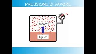 Lo STATO LIQUIDO la TENSIONE SUPERFICIALE la VISCOSITÀ e la PRESSIONE DI VAPORE [upl. by Avin]