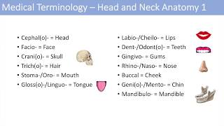 Medical Terminology  Lesson 6  Anatomy and Anatomical Terms [upl. by Gagliano]