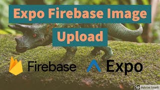 Upload Images to Firebase in Expo [upl. by Sheply]