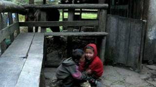 Sherpa children playing in Khumbu Nepal [upl. by Eelesor]