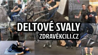 Jak správně cvičit deltové svaly ramena  cvičení na doma [upl. by Boyes883]