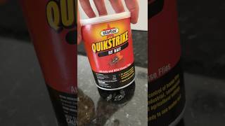 Quickstrike Fly Bait  Easy and Fast quickstrike flybaits patioideas flycontrol pestcontrol [upl. by Pegeen]