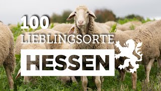 Der Schäferweg in Hungen im Vogelsberg  100 Lieblingsorte in Hessen [upl. by Nylaras]