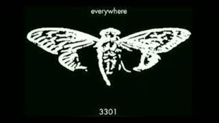 Cicada 330149 [upl. by Beverlie]