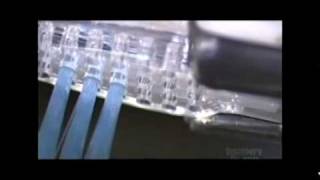 Toothbrushes  How its made كيف تصنع فرش الاسنان [upl. by Vachill545]