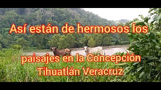 Así están de hermosos los paisajes en la Concepción Tihuatlán Veracruz [upl. by Lari]