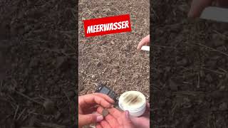 Meerwasser metaldetecting sondeln meer wasser zimyoutube DETEKTORENSHOP [upl. by Adaven]