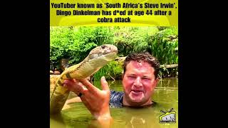 YouTuber known as South Africas SteveIrwin Dingo Dinkelman has ded at age 44 after a cobra [upl. by Vitkun]