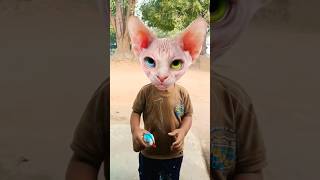 Cat videos 😂🕺🏻🍬 funny trending shorts [upl. by Mcculloch296]