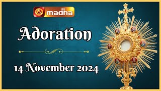 🔴 LIVE 14 November 2024 Adoration 1100 AM  Madha TV [upl. by Cryan]