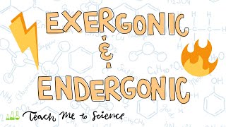 endergonic and exergonic reactions [upl. by Githens881]